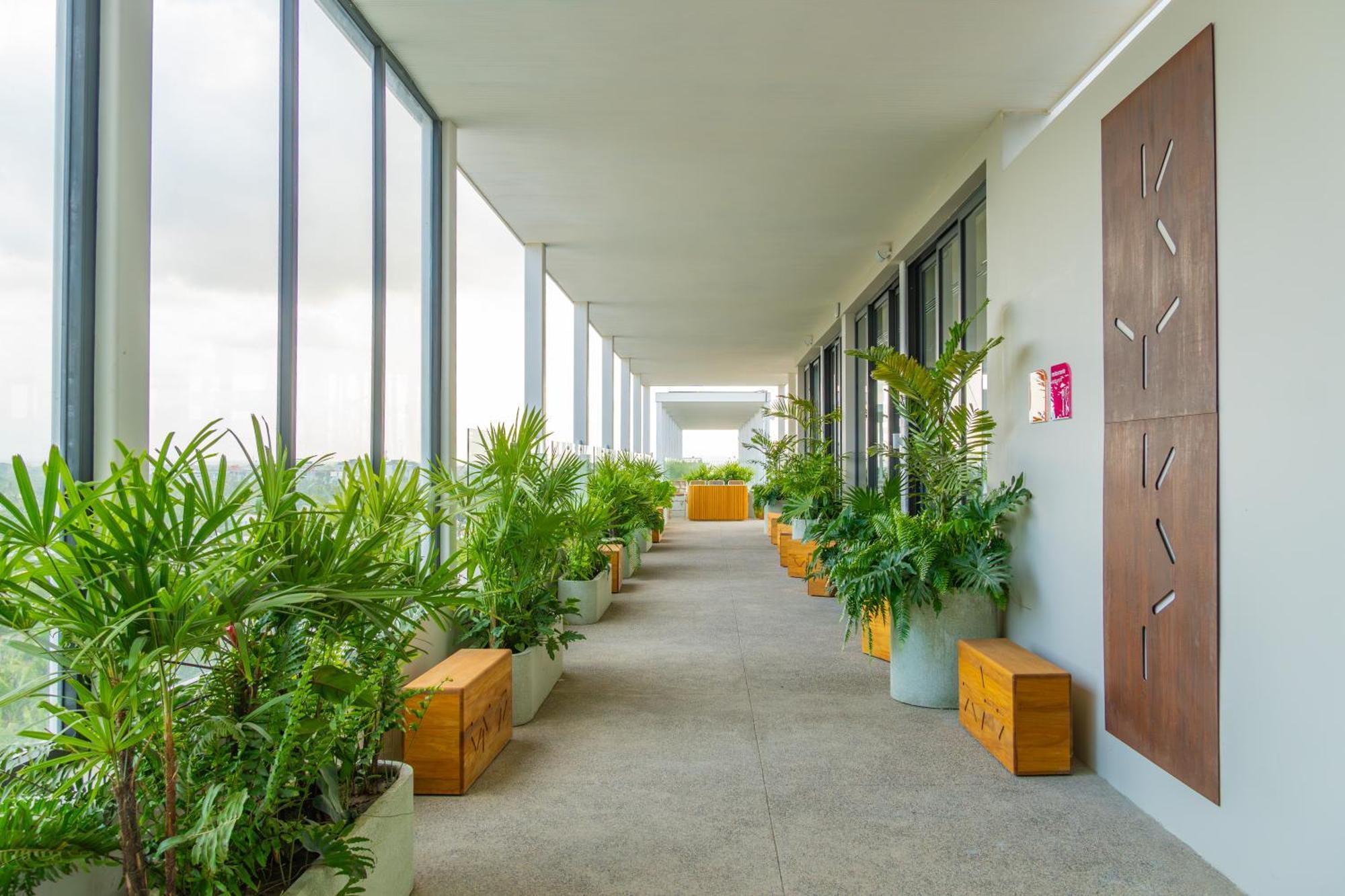 Hotel Mio Riviera Nayarit Unique & Different Adults Only نويفو فايارتا المظهر الخارجي الصورة